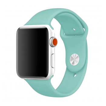 apple watch silicone strap mint m/l 42/44/45mm-apple-watch-silicon-strap-mint-m-l-42-44mm-138232-136596-128694.png