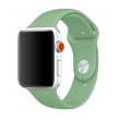 apple watch silicone strap green s/ m 42/ 44/ 45mm-apple-watch-silicon-strap-zelena-s-m-42-44mm-142180-152138-132005.png