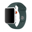 apple watch silicone strap eucalyptus green m/ l 42/ 44/ 45mm-apple-watch-silicone-strap-eucalyptus-green-m-l-42-44-45mm-159927-188002-144347.png