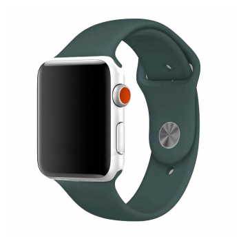 apple watch silicone strap eucalyptus green m/ l 42/ 44/ 45mm-apple-watch-silicone-strap-eucalyptus-green-m-l-42-44-45mm-159927-188002-144347.png