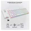 mehanicka gaming tastatura redragon draconic k530 pro bela bluetooth/ wired-mehanicka-gaming-tastatura-redragon-draconic-k530-pro-bela-bluetooth-wired-163333-198957-147184.png