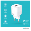 kucni punjac pluginn pi-d73, qc3.0 pd3.0, pps, usb-pd 18w+20w, 38w (total) beli-kucni-punjac-piuginn-pl-d73-qc30-pd30-pps-usb-pd-18w20w-38w-total-beli-164413-204601-148070.png