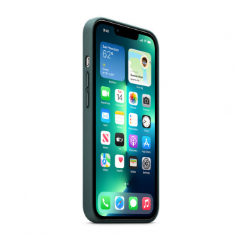 maska beautiful shine leather za iphone 12/ 12 pro zelena.-maska-beautiful-shine-leather-za-iphone-12-12-pro-61-in-zelena-164530-202177-148167.png