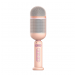 mikrofon karaoke + zvucnik mkf sk06 (kineska verzija) roze-mikrofon-karaoke--zvucnik-mkf-sk06-roze-156272-251292-156272.png
