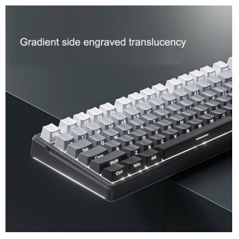 mehanicka wireless tastatura zifriend zt99 pro sivo crna (sivi switch)-mehanicka-wireless-tastatura-zifriend-zt99-pro-sivo-crna-sivi-switch-161007-275827-161007.png