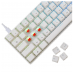 white shark tastatura gk-004211 shinobi-2 w, red swich,mechanical us-white-shark-tastatura-gk-004211-shinobi-2-w-red-swichmechanical-us-163213-279905-163213.png