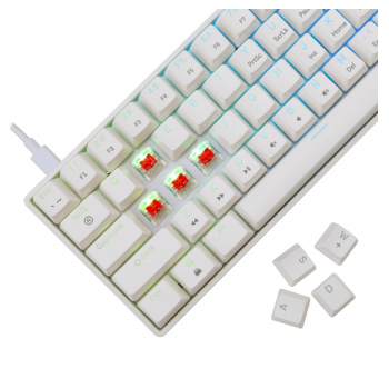 white shark tastatura gk-004211 shinobi-2 w, red swich,mechanical us-white-shark-tastatura-gk-004211-shinobi-2-w-red-swichmechanical-us-163213-279905-163213.png