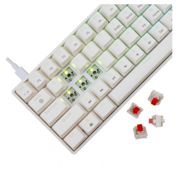 white shark tastatura gk-004211 shinobi-2 w, red swich,mechanical us-white-shark-tastatura-gk-004211-shinobi-2-w-red-swichmechanical-us-163213-279906-163213.png