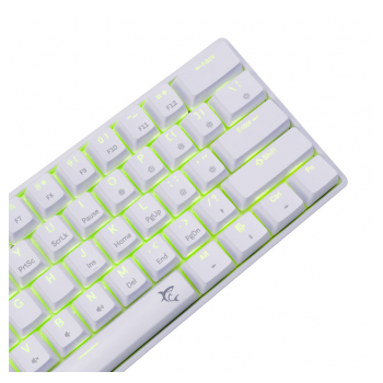 white shark tastatura gk-004211 shinobi-2 w, blue swich,mechanical us-white-shark-tastatura-gk-004211-shinobi-2-w-blue-swichmechanical-us-163212-279892-163212.png