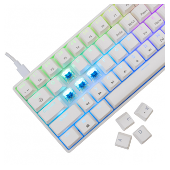 white shark tastatura gk-004211 shinobi-2 w, blue swich,mechanical us-white-shark-tastatura-gk-004211-shinobi-2-w-blue-swichmechanical-us-163212-279893-163212.png