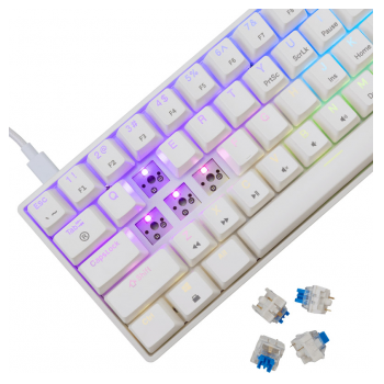 white shark tastatura gk-004211 shinobi-2 w, blue swich,mechanical us-white-shark-tastatura-gk-004211-shinobi-2-w-blue-swichmechanical-us-163212-279894-163212.png