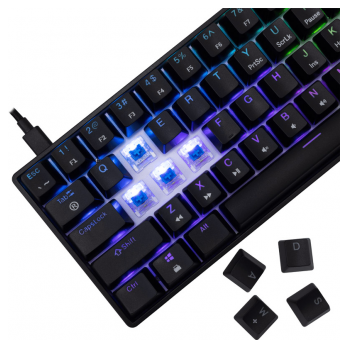 white shark tastatura gk-004211 shinobi-2 b, blue swich,mechanical us-white-shark-tastatura-gk-004211-shinobi-2-b-blue-swichmechanical-us-163211-279869-163211.png