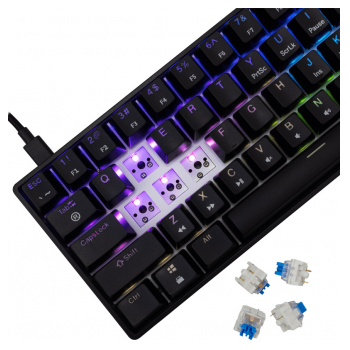 white shark tastatura gk-004211 shinobi-2 b, blue swich,mechanical us-white-shark-tastatura-gk-004211-shinobi-2-b-blue-swichmechanical-us-163211-279870-163211.png