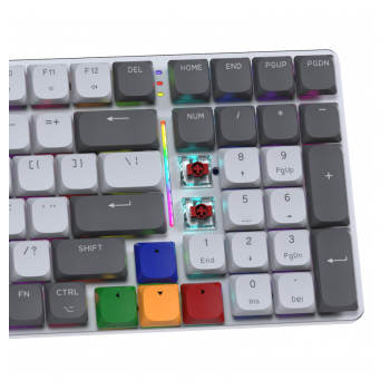 tastatura mehanicka gaming fantech mk916 rgb maxfit air99 wireless gray (red switch)-tastatura-mehanicka-gaming-fantech-mk916-rgb-maxfit-air99-wireless-gray-red-switch-163253-280216-163253.png