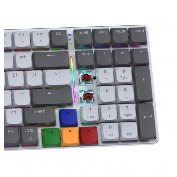 tastatura mehanicka gaming fantech mk916 rgb maxfit air99 wireless gray (brown switch)-tastatura-mehanicka-gaming-fantech-mk916-rgb-maxfit-air99-wireless-gray-brown-switch-163248-280168-163248.png