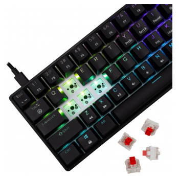 white shark tastatura gk-004211 shinobi-2 b, red swich,mechanical us-white-shark-tastatura-gk-004211-shinobi-2-b-red-swichmechanical-us-163225-279882-163225.png