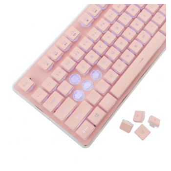 white shark tastatura gk-003441 tachi pink,keybord-us-white-shark-tastatura-gk-003441-tachi-pinkkeybord-us-163224-279863-163224.png