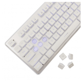 white shark tastatura gk-003241 tachi white,keybord-us-white-shark-tastatura-gk-003241-tachi-whitekeybord-us-163223-279856-163223.png