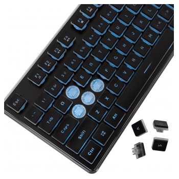 white shark tastatura gk-003141 tachi black,keybord-us-white-shark-tastatura-gk-003141-tachi-blackkeybord-us-163222-279849-163222.png