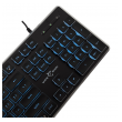 white shark tastatura gk-003141 tachi black,keybord-us-white-shark-tastatura-gk-003141-tachi-blackkeybord-us-163222-279850-163222.png