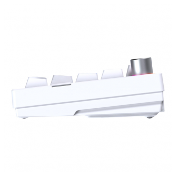 tastatura mehanicka gaming fantech mk920 rgb maxfit 6 wireless bela (white switch)-tastatura-mehanicka-gaming-fantech-mk920-rgb-maxfit-6-wireless-bela-white-switch-167504-293472-167504.png