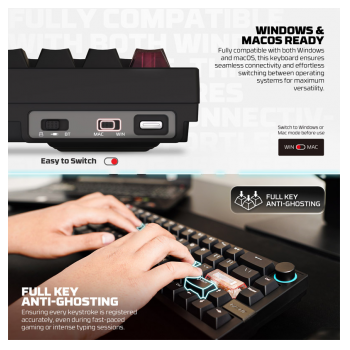 tastatura mehanicka gaming fantech mk920 rgb maxfit 6 wireless bela (white switch)-tastatura-mehanicka-gaming-fantech-mk920-rgb-maxfit-6-wireless-bela-white-switch-167504-293477-167504.png